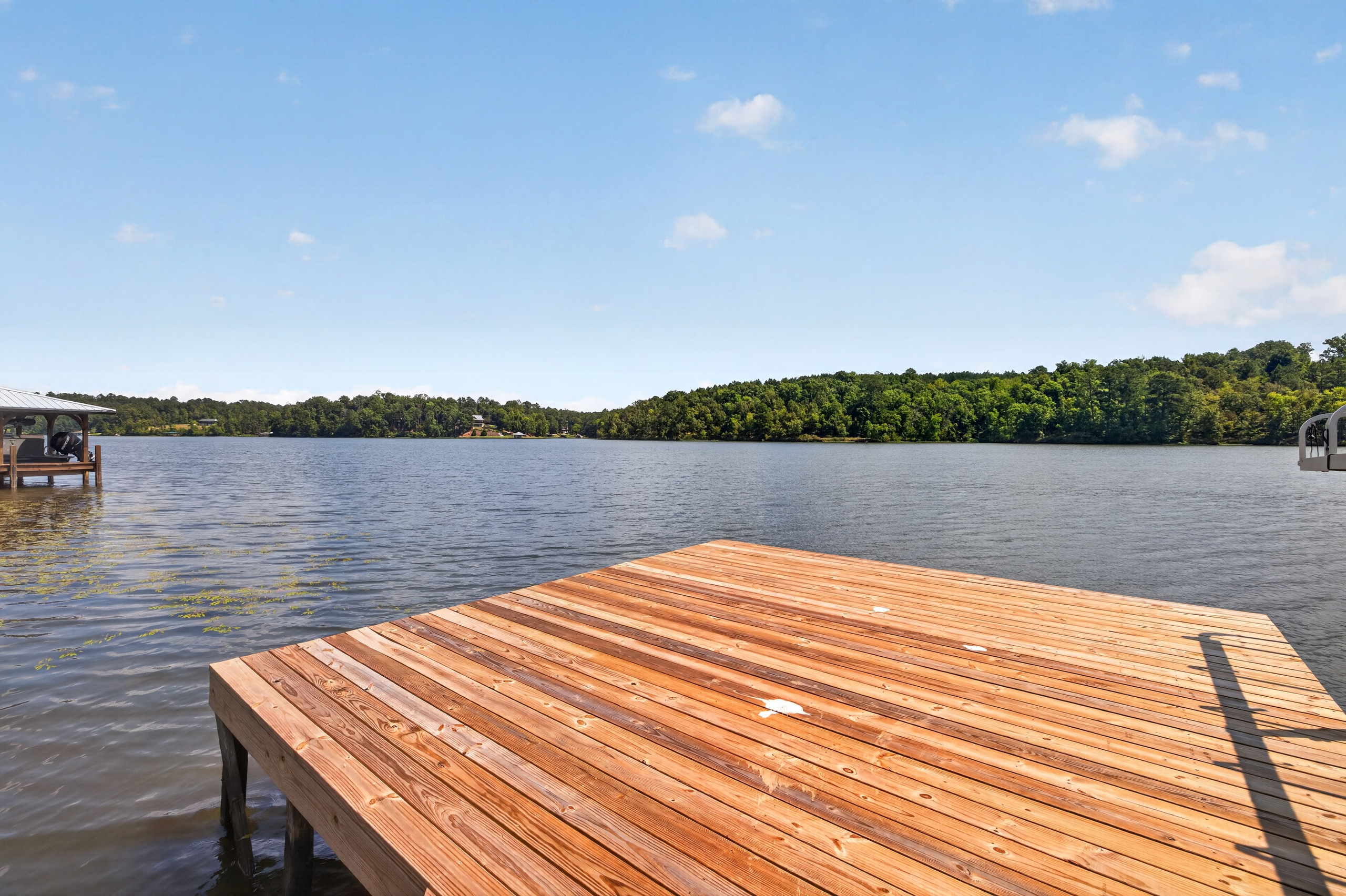 Private dock with boat lift mechanism