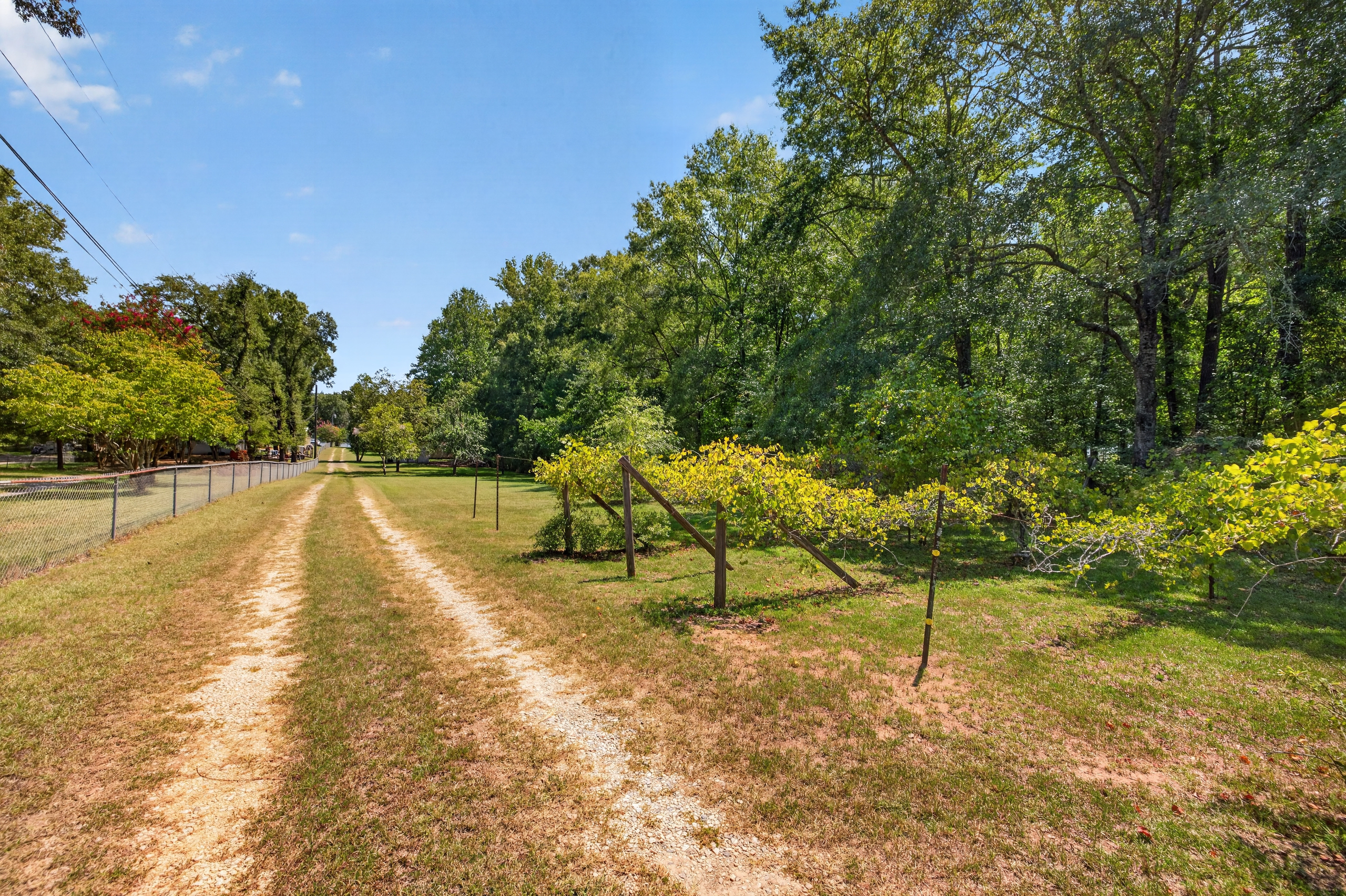 Driveway approach with grape arbor