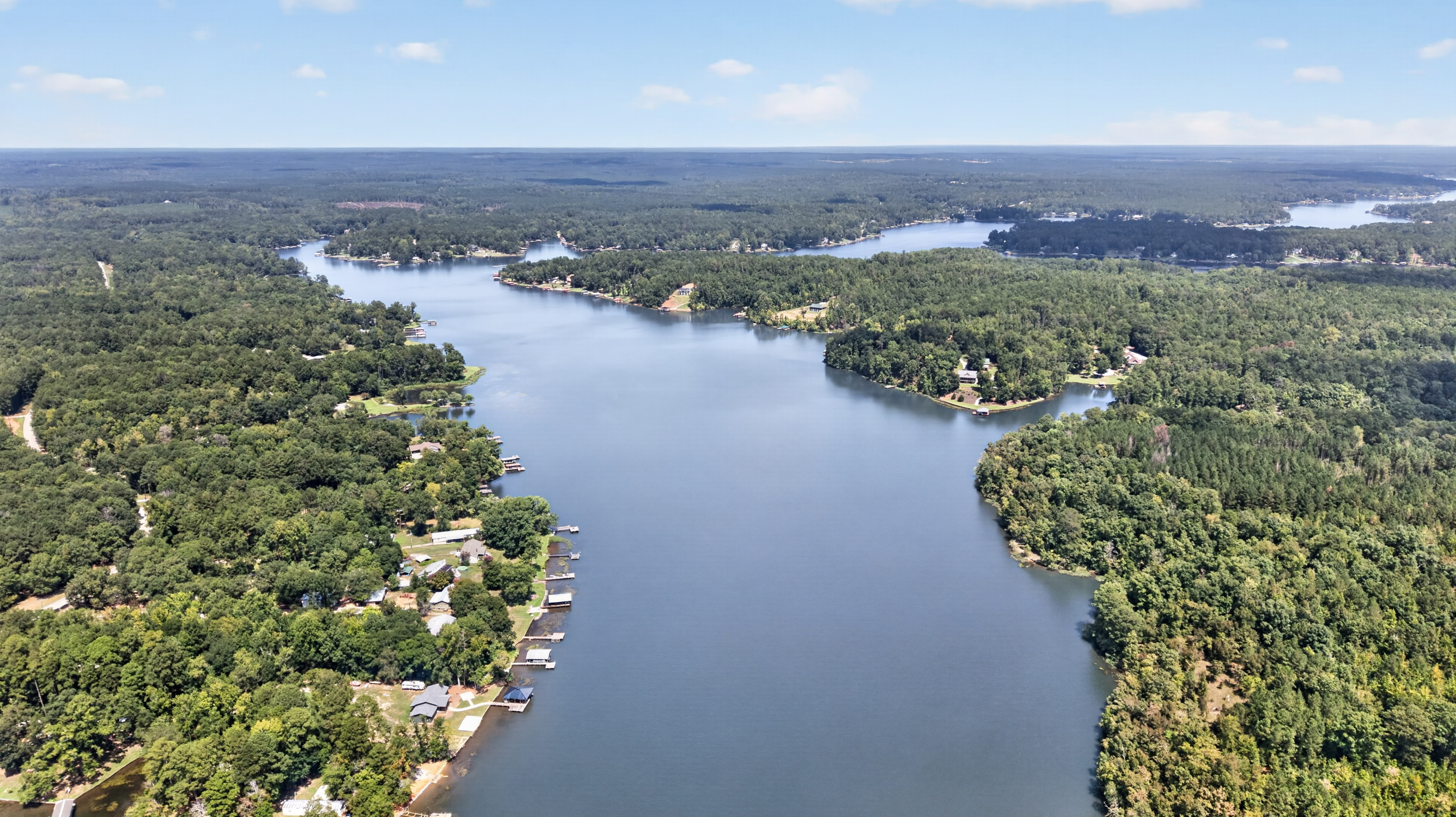 High aerial vantage over Lake Sinclair Woods