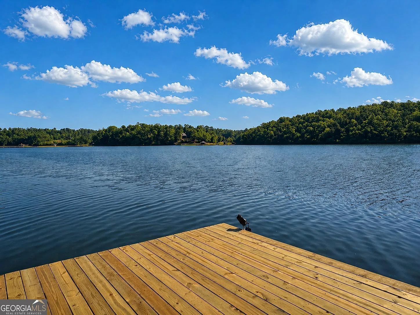View from the dock